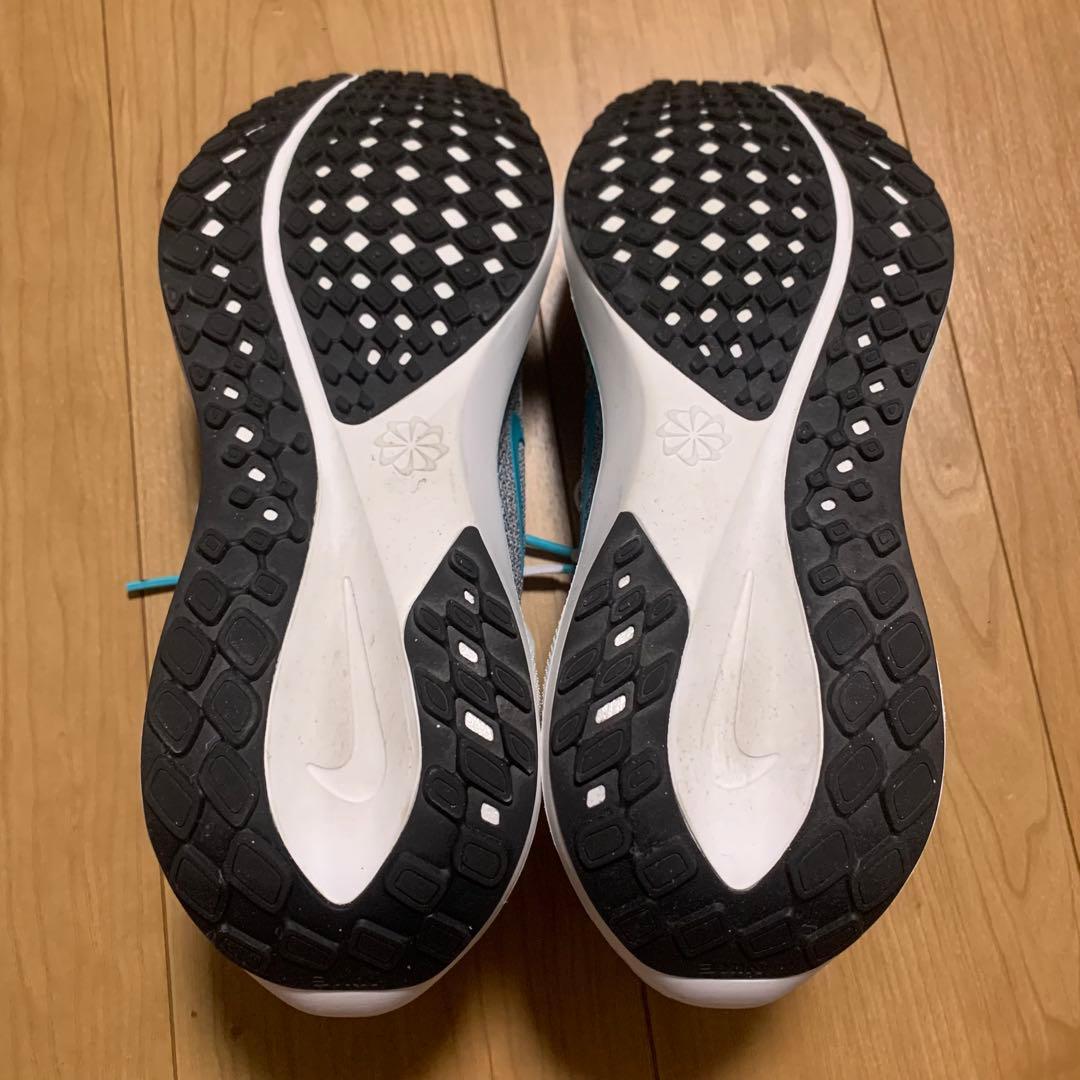 新品ナイキNIKEズームペガサス29cm