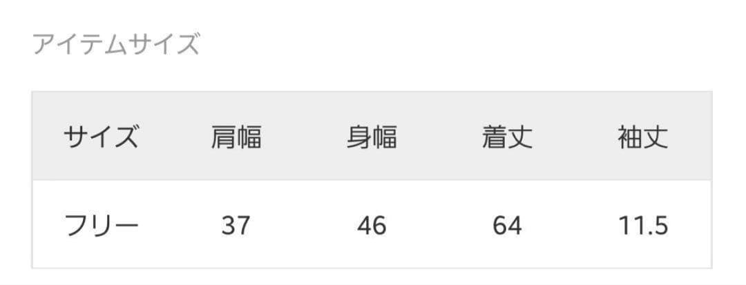 manaとなります。新品　Noble　ファジーリネン　半袖ブラウス　ブルー