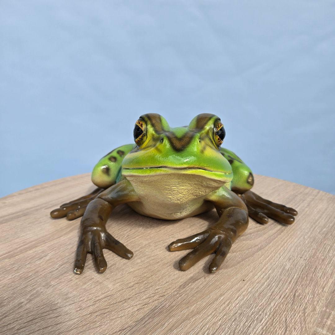 子キンスジアメガエル アニマルオブジェ リアル 置物 インテリア 軽い