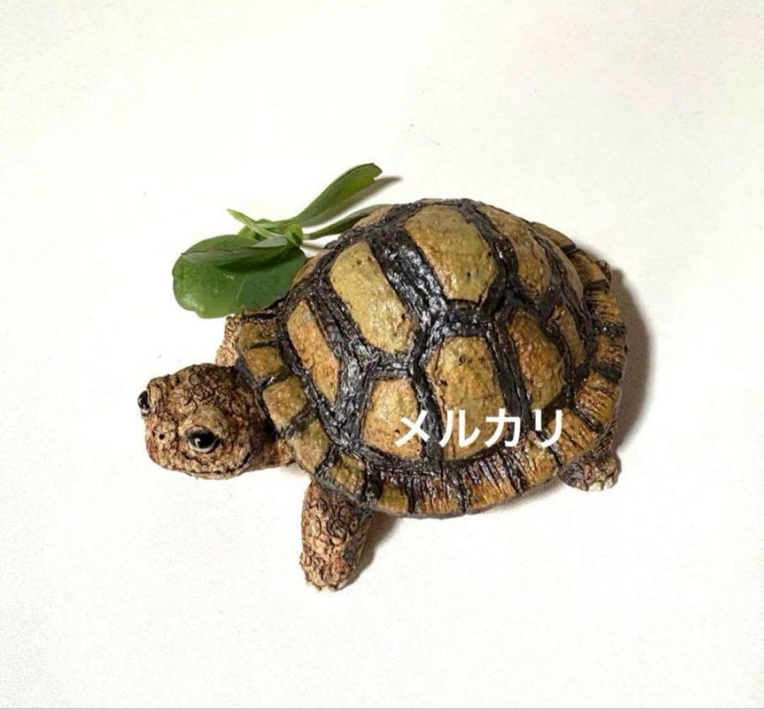 縁起物❣️可愛い亀の亀吉くん❤️陶器人形、置物、亀置物
