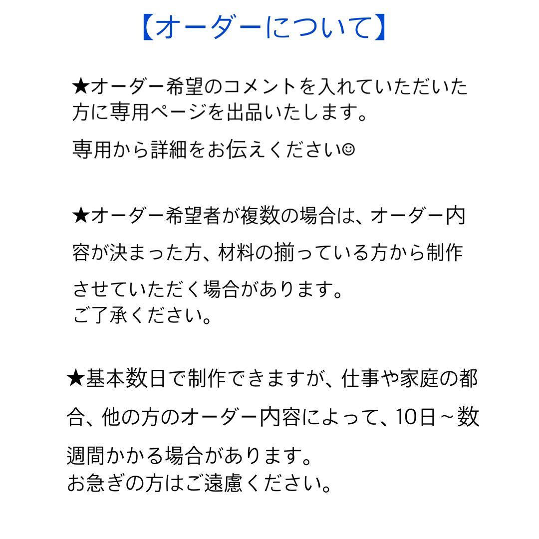 BIGぬい服オーダーページ