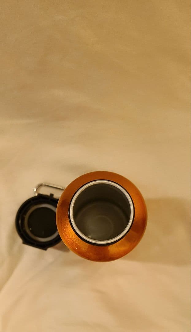 forbiddenfruitボトル新品未使用品ifsixwasnine LGB