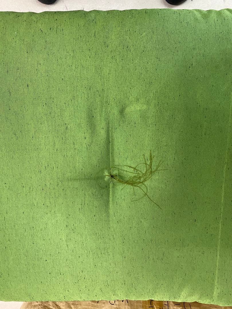 和風座布団 5点セット整理のためお値下げします