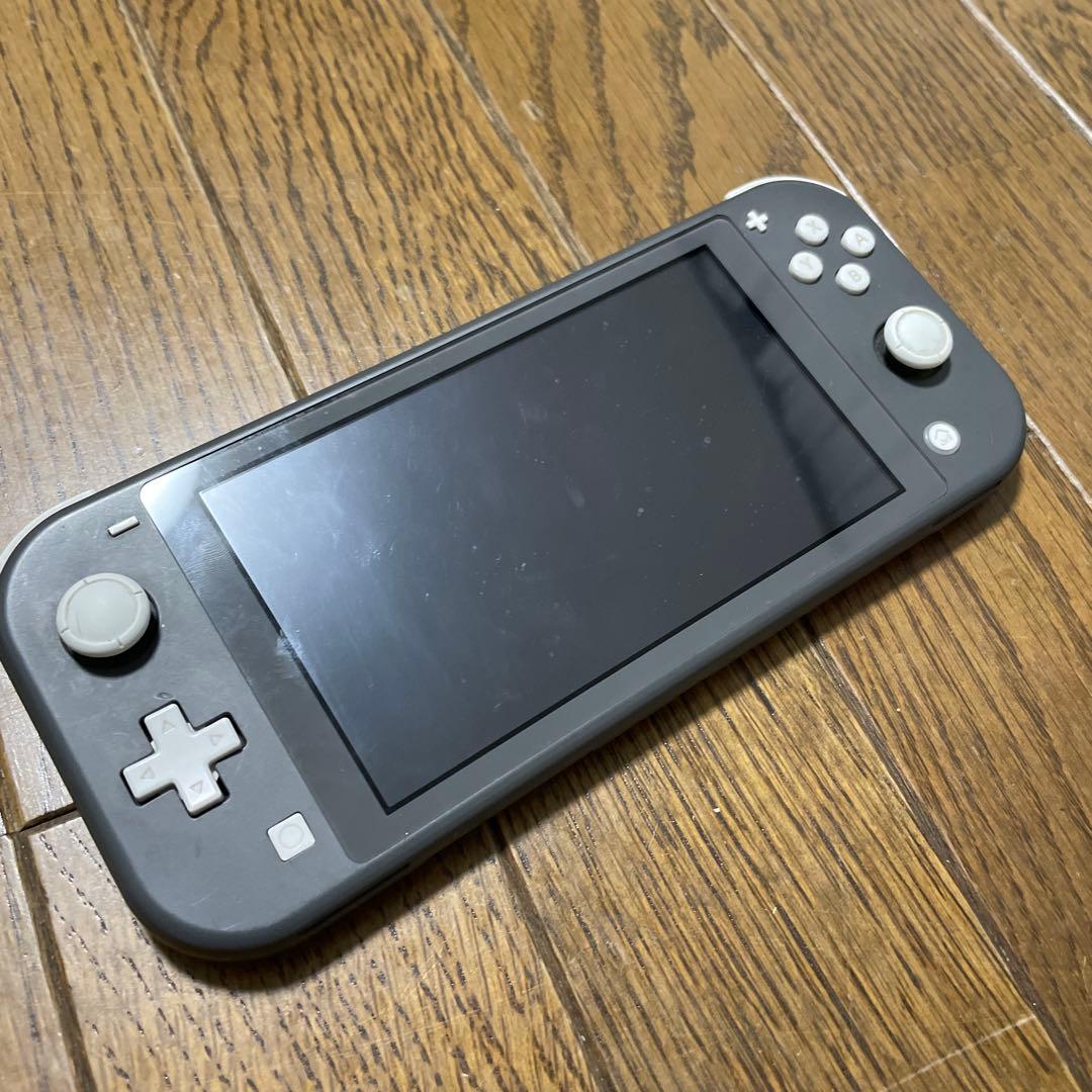 Nintendo Switch Pro Controller & Lite セッ