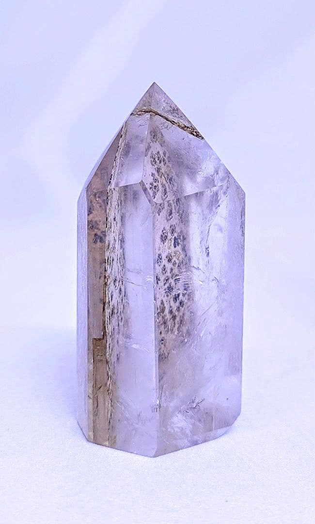 デンドリティック　ゴールデンヒーラー　ポイント　虹　豹柄　リバーシブル