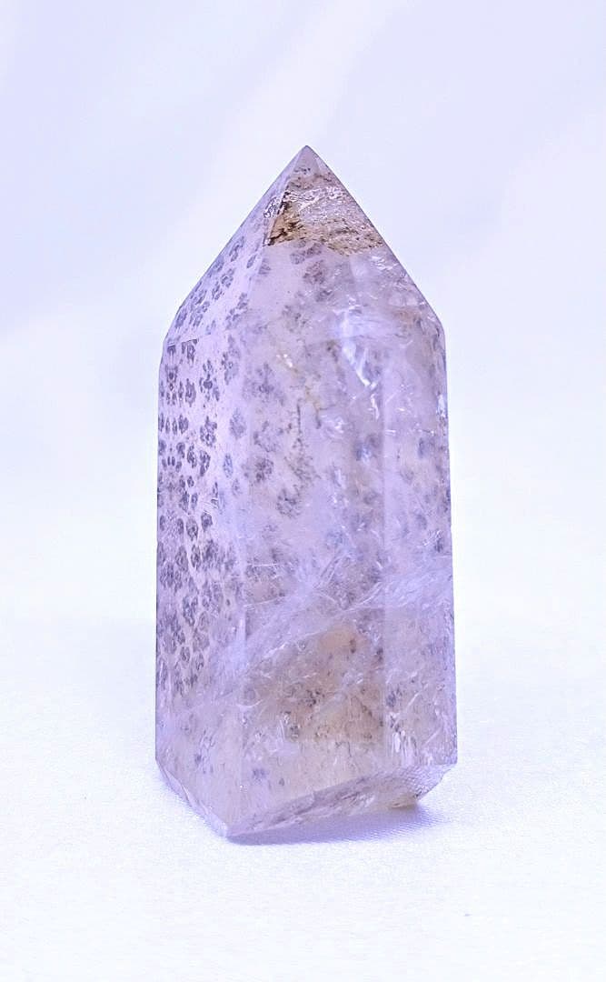 デンドリティック　ゴールデンヒーラー　ポイント　虹　豹柄　リバーシブル