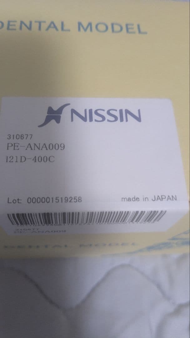 NISSIN PE-ANA009 歯科模型