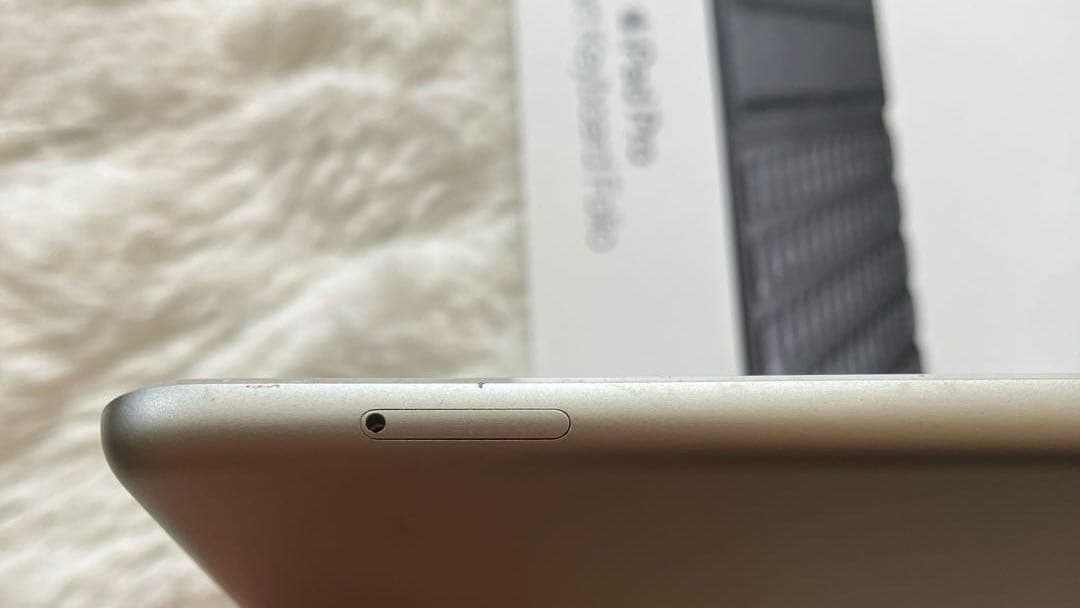 【完動品】iPad Pro 10.5 256GB SIMフリー 【すぐ発送】