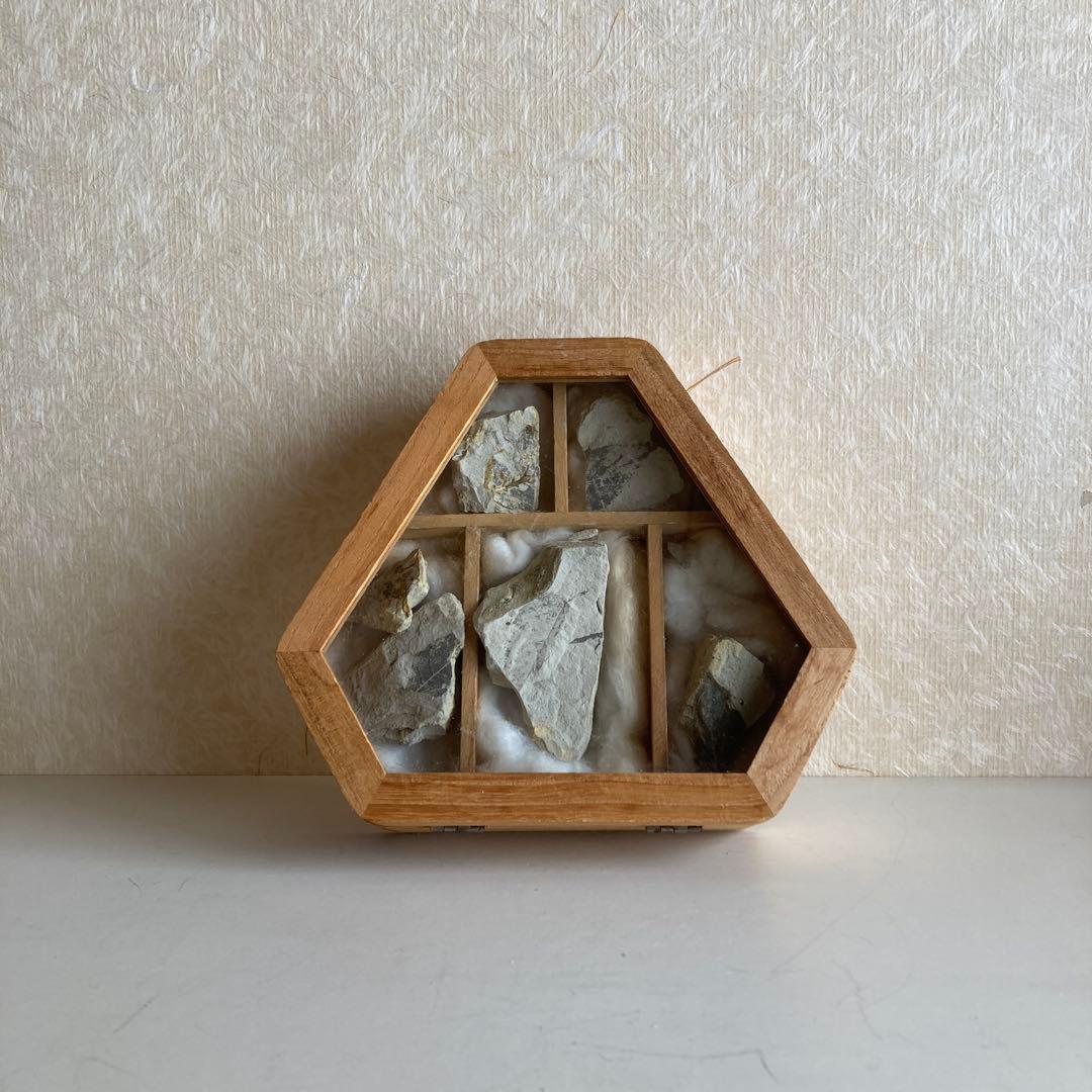 ◾️化石標本 木箱セット　70s×静けさのインテリア｜ELLE・エスカイア系」