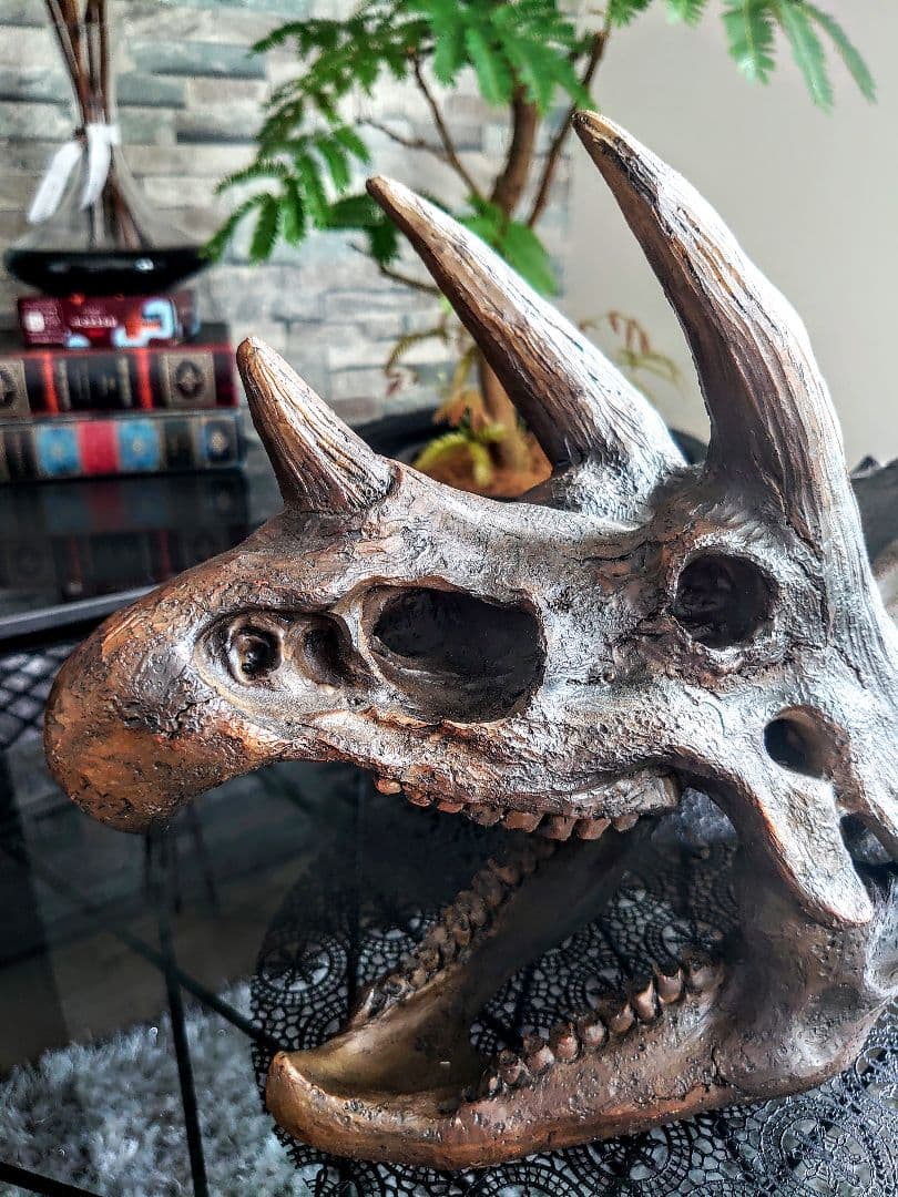 【2個セット】 ティラノサウルス トリケラトプス 頭骨 化石 レプリカ