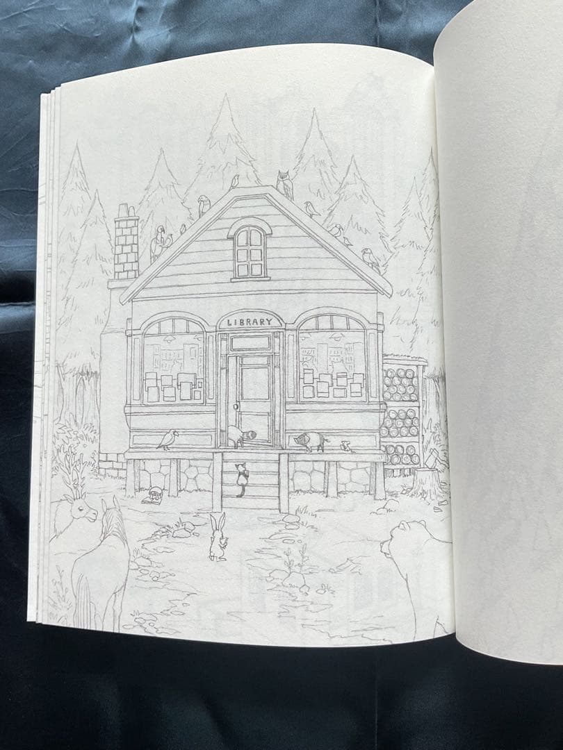 Junaida特別セット『のの』