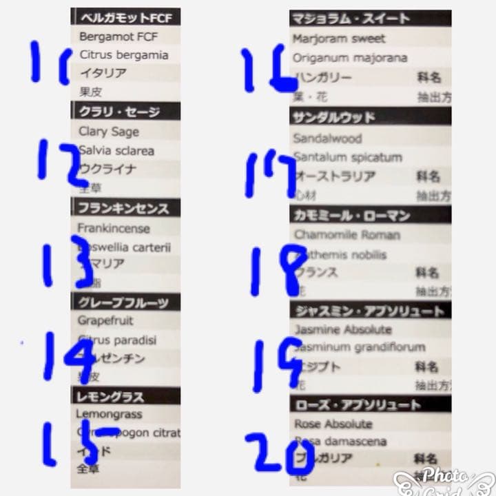 選べるアロマオイル！アロマストーン プードルちゃんサシェ 31