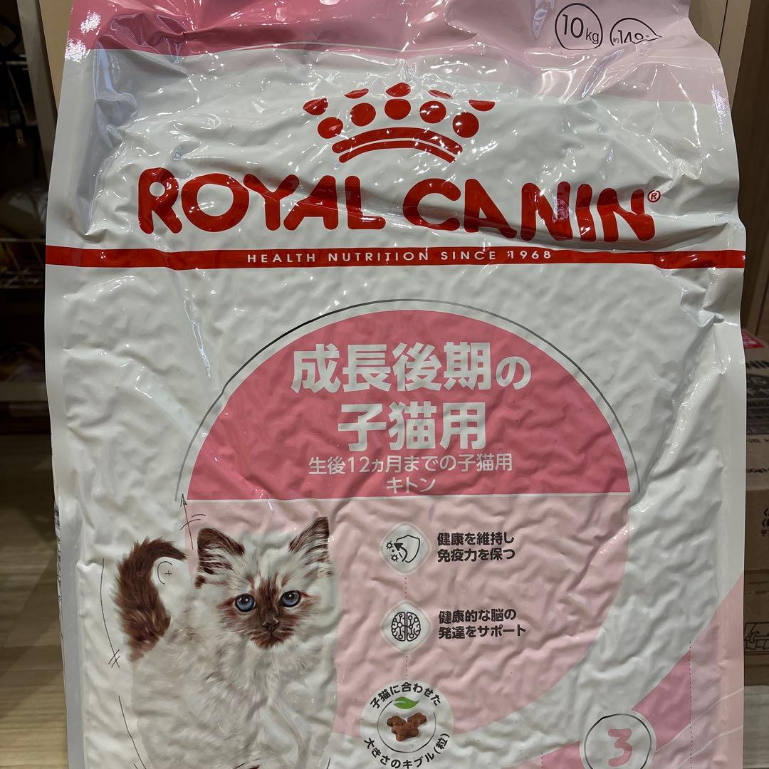  CANIN 成長後期の子猫用 10kg ドライフード