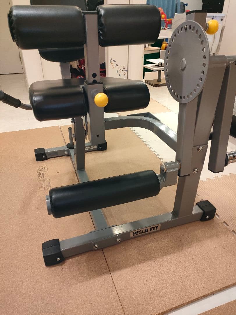 【美品】レッグエクステンション / カール (Φ50)[WILD FIT ]