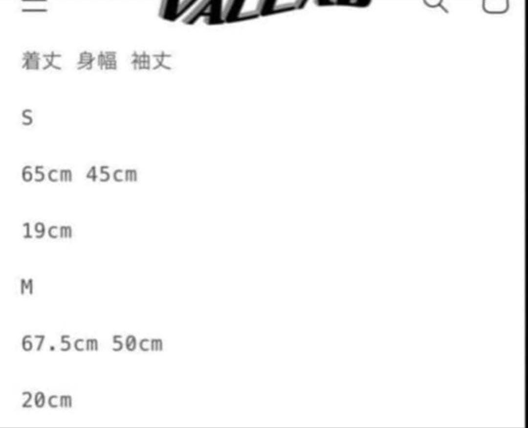 VALLAD RYDE ROMANCE Tシャツ Mサイズ