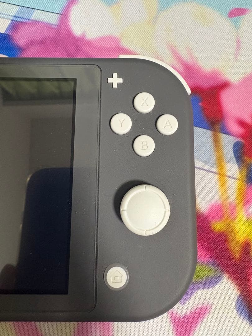 Nintendo Switch Lite 本体＋ケースセット