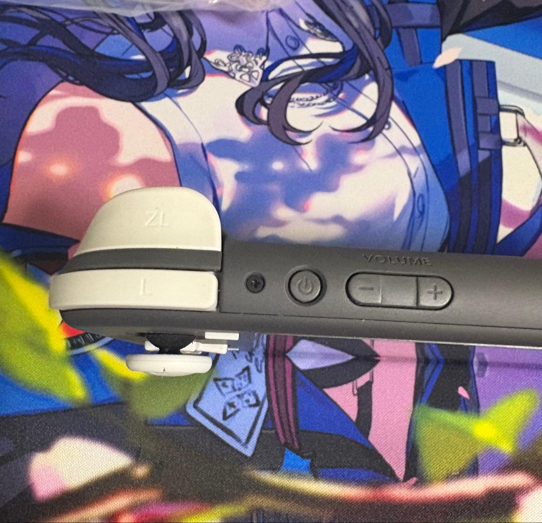 Nintendo Switch Lite 本体＋ケースセット