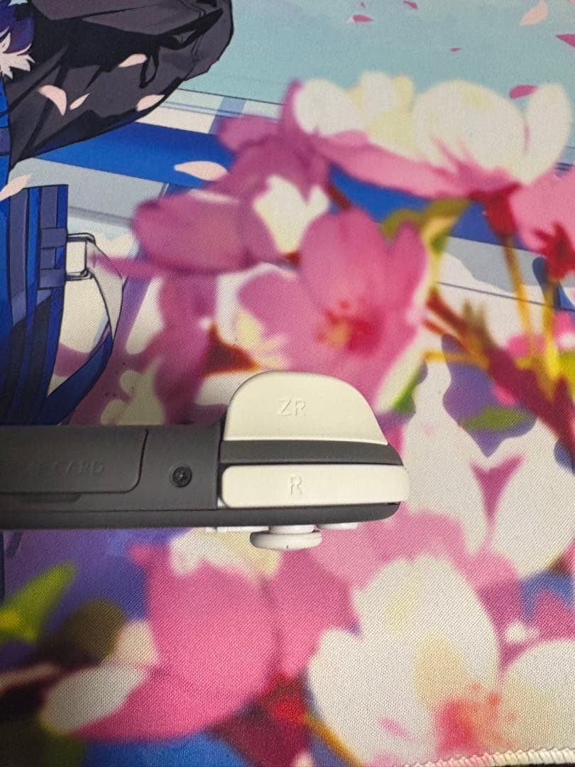 Nintendo Switch Lite 本体＋ケースセット