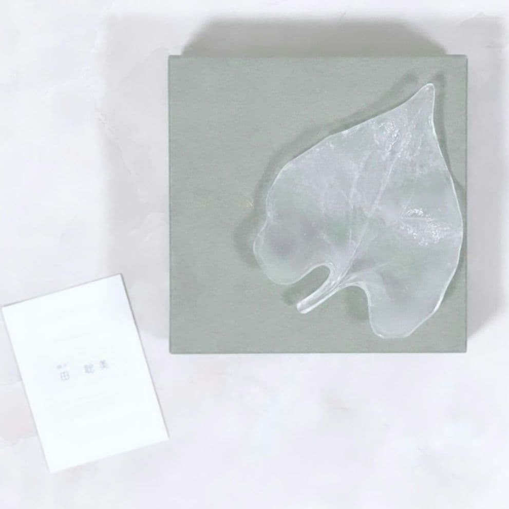 希少 田聡美 葉皿1枚 伊藤聡信剛俊鈴木環金森正起河合竜彦辻和美長野史子岡さつき