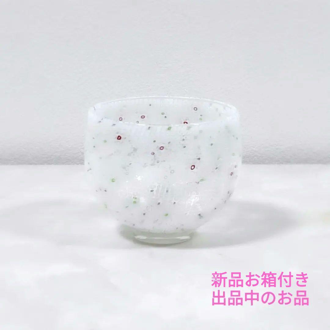 希少 田聡美 葉皿1枚 伊藤聡信剛俊鈴木環金森正起河合竜彦辻和美長野史子岡さつき