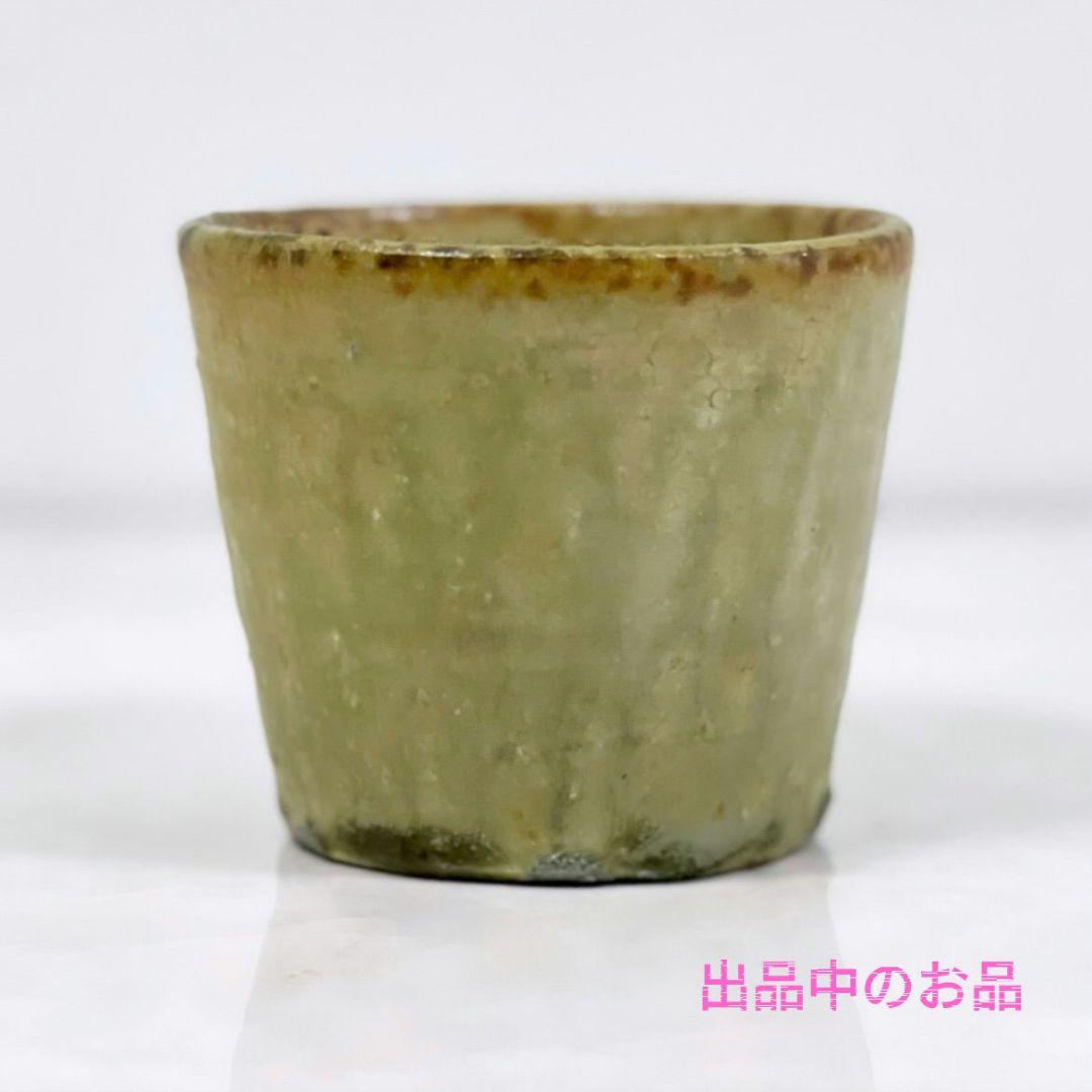 希少 田聡美 葉皿1枚 伊藤聡信剛俊鈴木環金森正起河合竜彦辻和美長野史子岡さつき