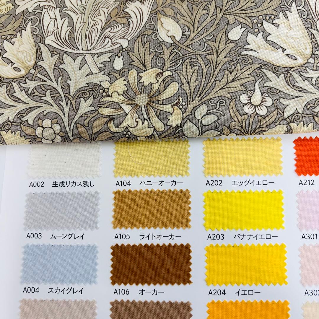 南国のサングラスページ