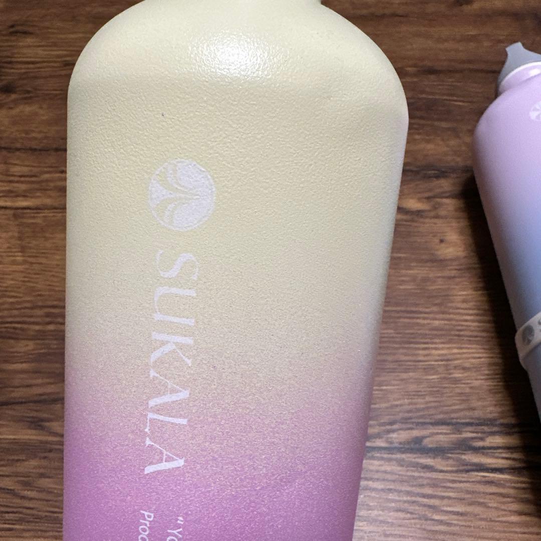 ホットヨガLAVA SIGG 水素ボトル2本・ゴムバンド・カバー・専用バッグ