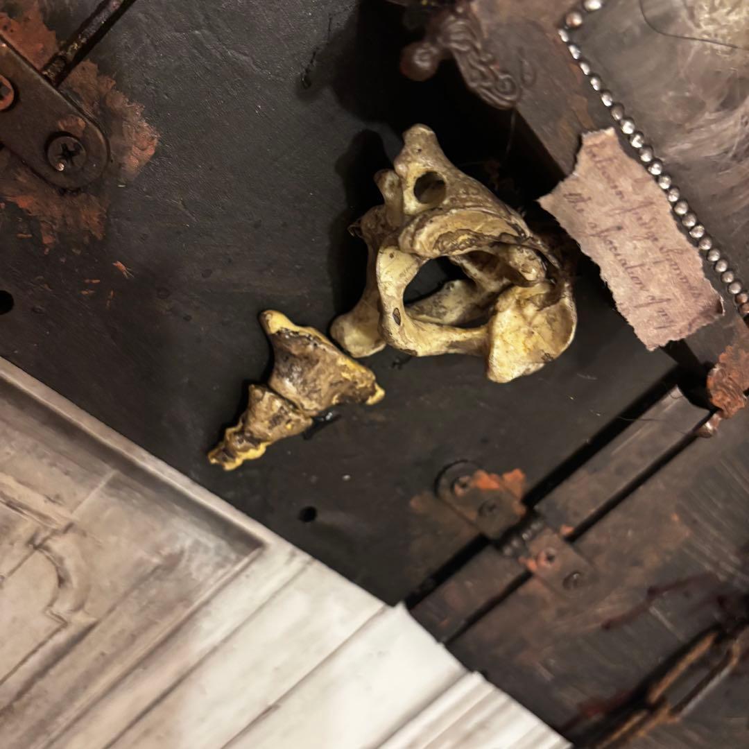 【Special Price】 赤子再生を願いし2つの魂 オブジェ