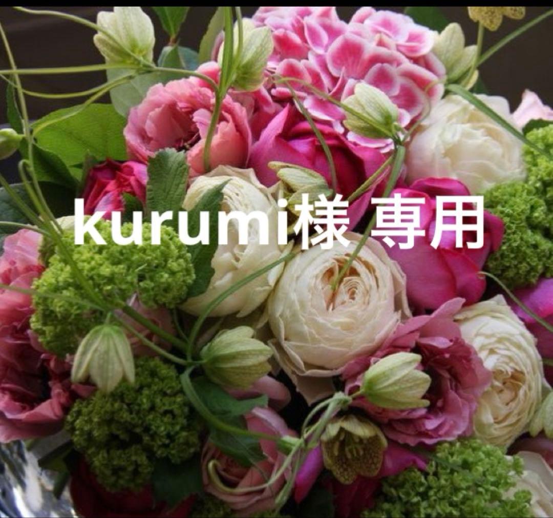 サルート B75/M 3点セット 74G VI ベルサイユのばら コラボ