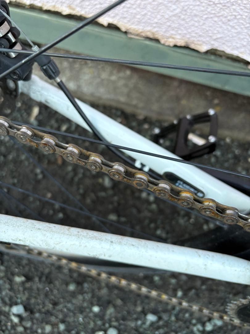 自転車本体 Trek Domane AL3 2021