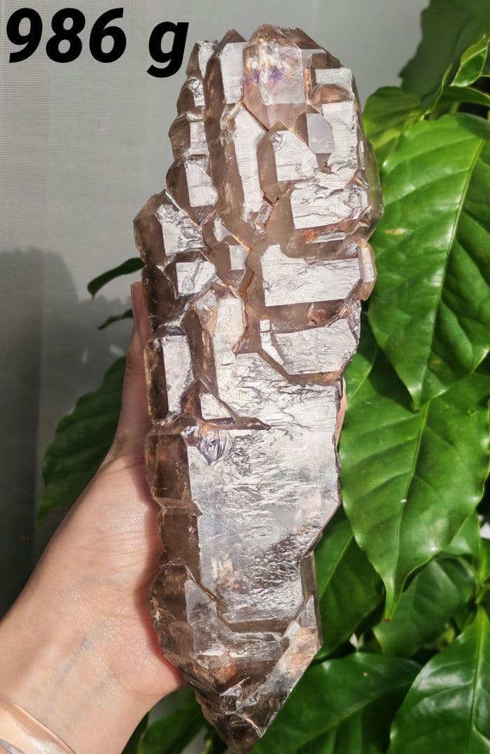 稀少　スモーキージャカレー水晶　ワニ水晶　骸骨水晶　原石　置物　天然石　標本