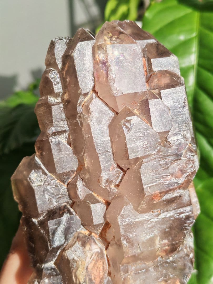 稀少　スモーキージャカレー水晶　ワニ水晶　骸骨水晶　原石　置物　天然石　標本