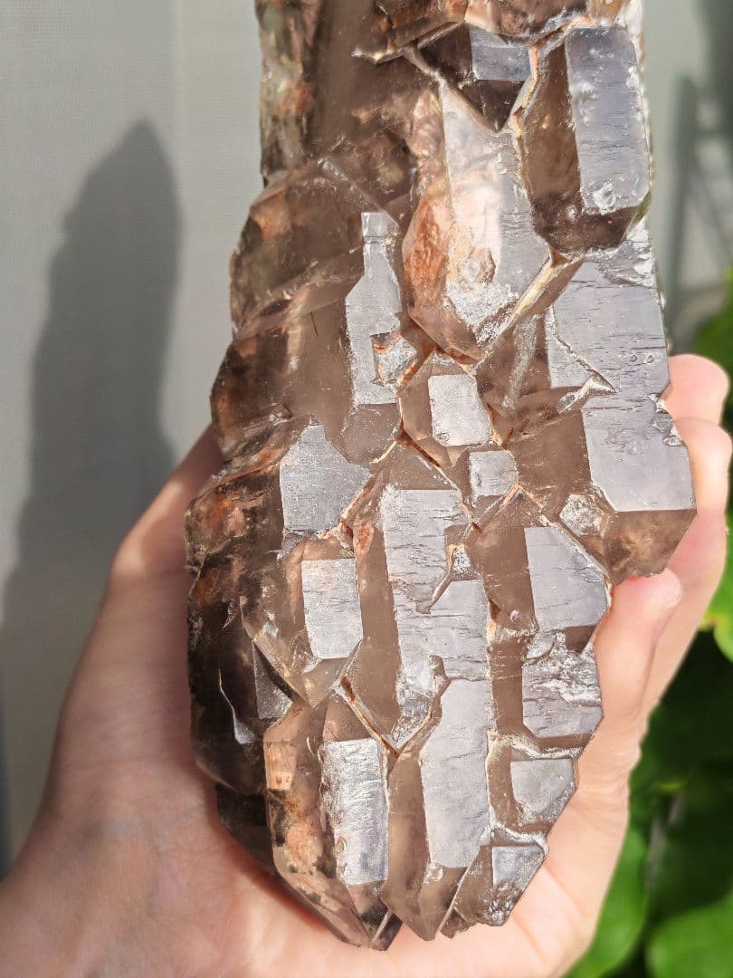 稀少　スモーキージャカレー水晶　ワニ水晶　骸骨水晶　原石　置物　天然石　標本