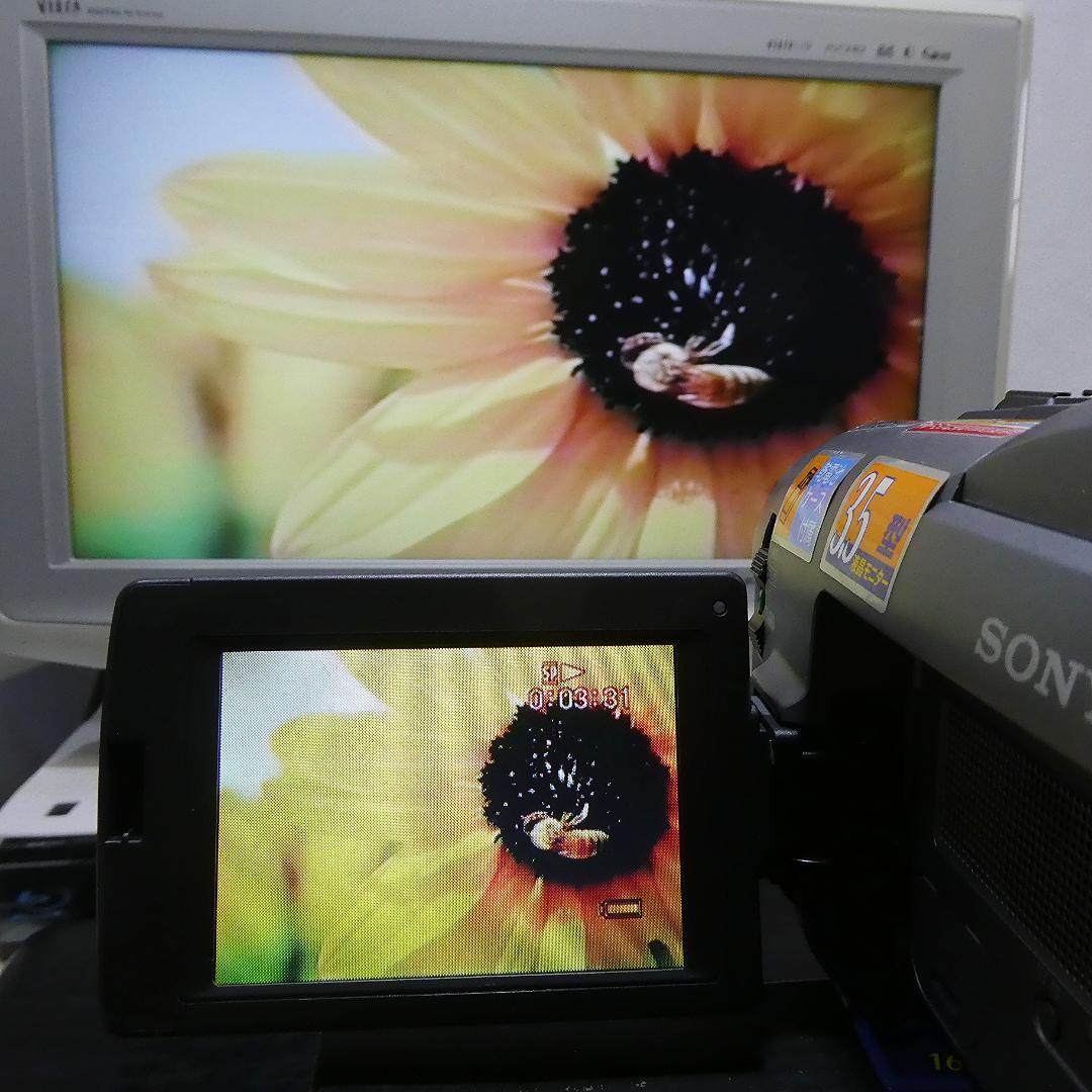 動作良好 ソニー CCD-TRV20 8ミリビデオカメラ DVD化に最適