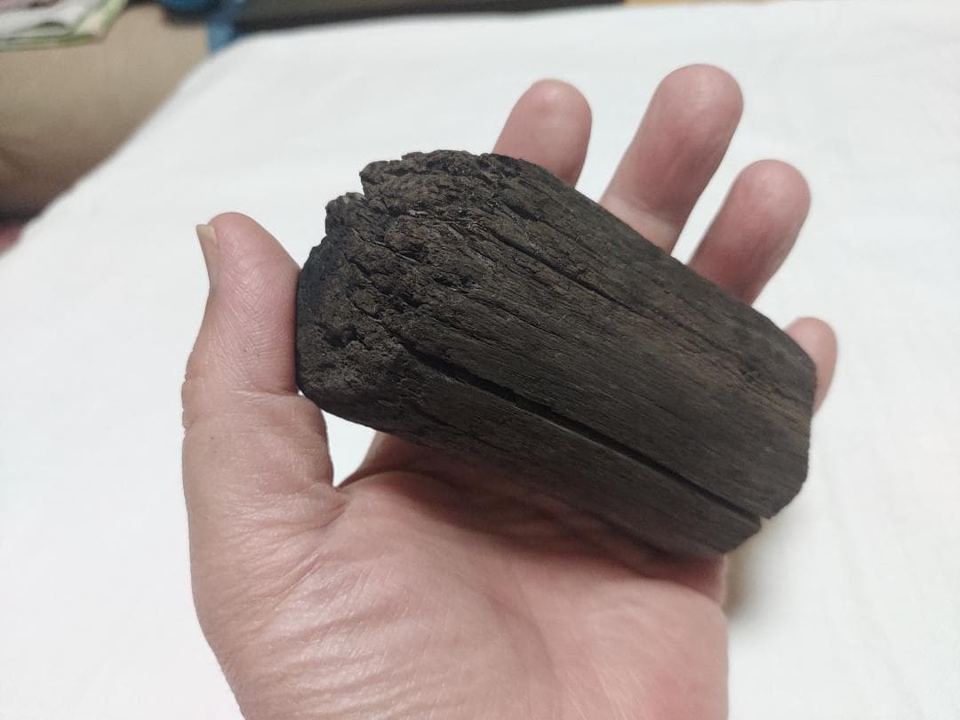 阿武隈川産 埋もれ木（割１）　新古今和歌集に詠まれた本物の伝承品