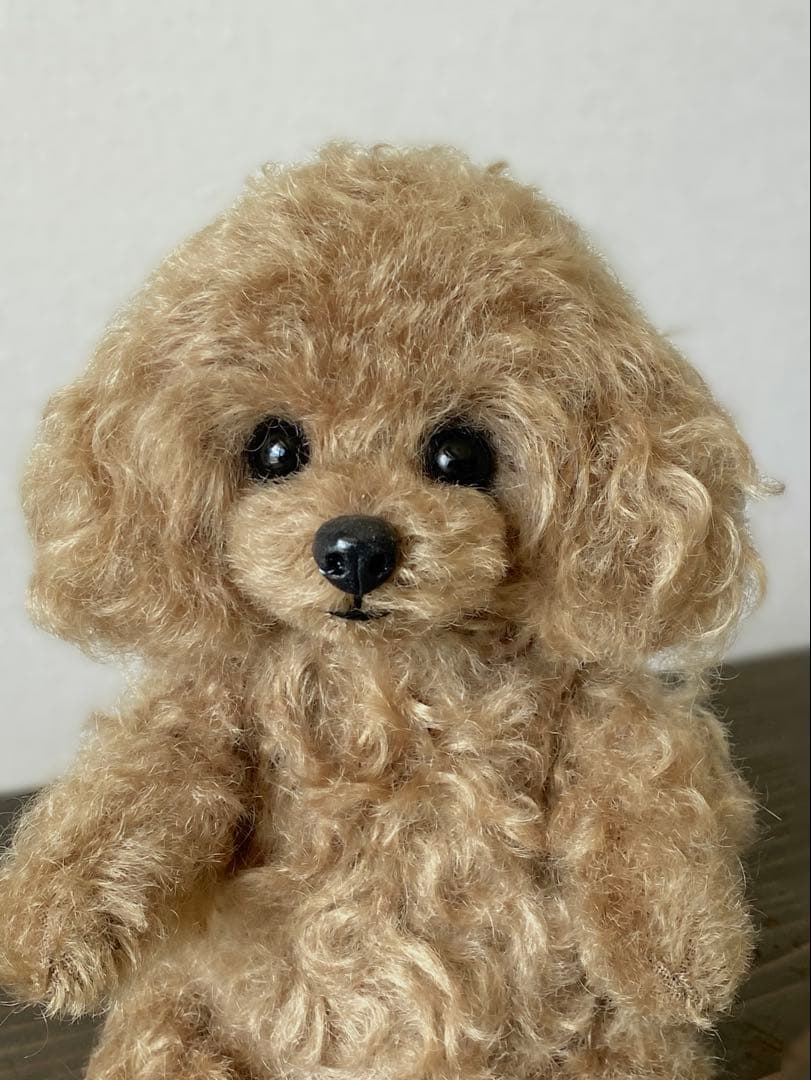 テディベア　トイプードル　ぬいぐるみ