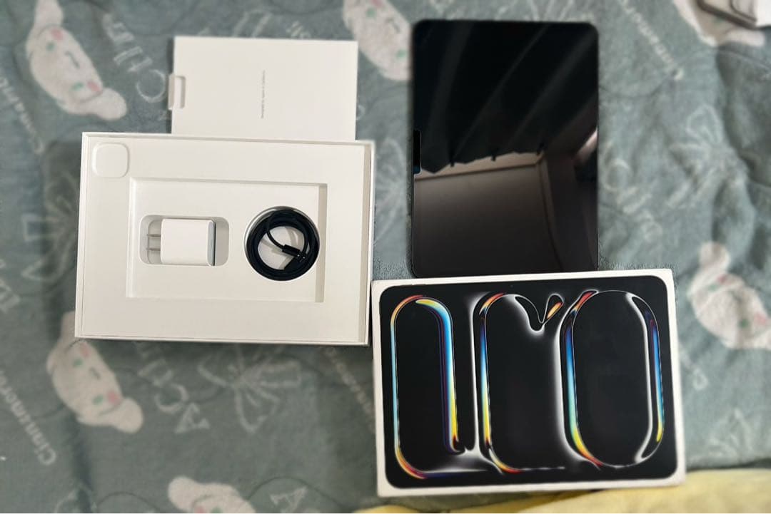 iPad Pro M5 256GB 11インチ　スペースグレー