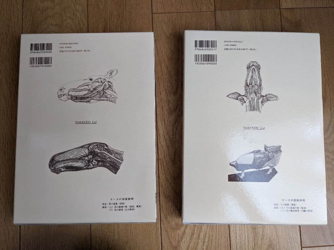 新編家畜比較解剖図説 上巻下巻セット