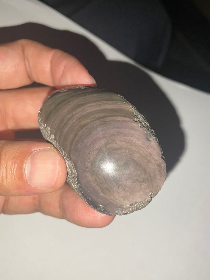 研磨品　十勝石玲瓏　ピンク、イエロー　レインボーオブシディアン