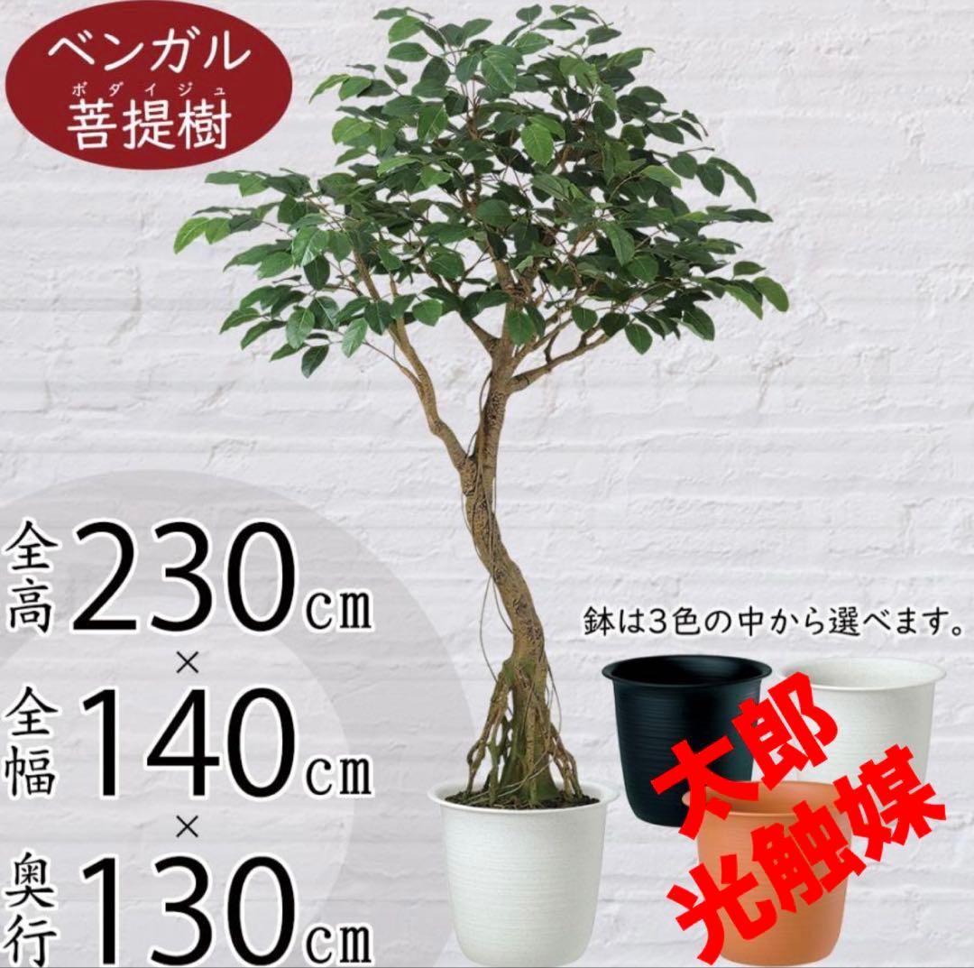 光触媒　人工観葉植物　フェイクグリーン　ベンガルボダイジュコアッド鉢付き