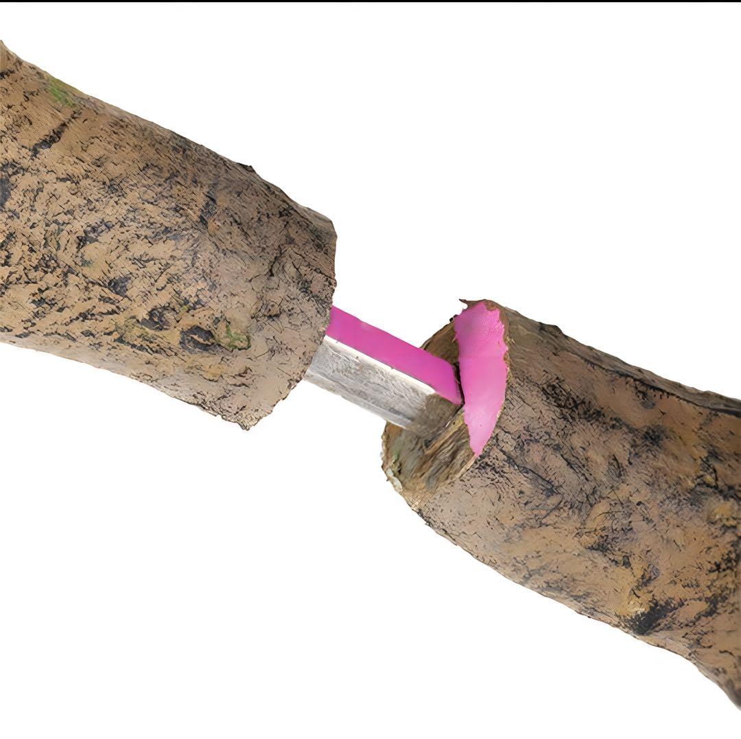 光触媒　人工観葉植物　フェイクグリーン　ベンガルボダイジュコアッド鉢付き