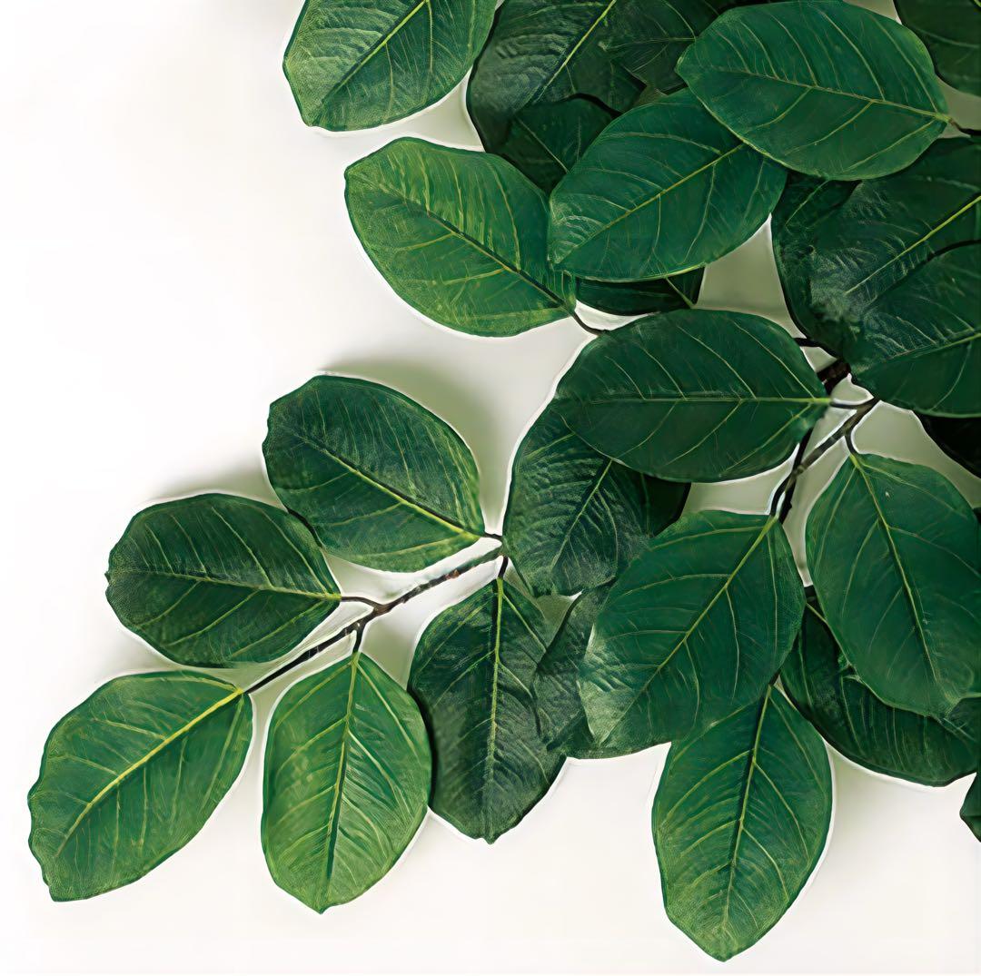 光触媒　人工観葉植物　フェイクグリーン　ベンガルボダイジュコアッド鉢付き