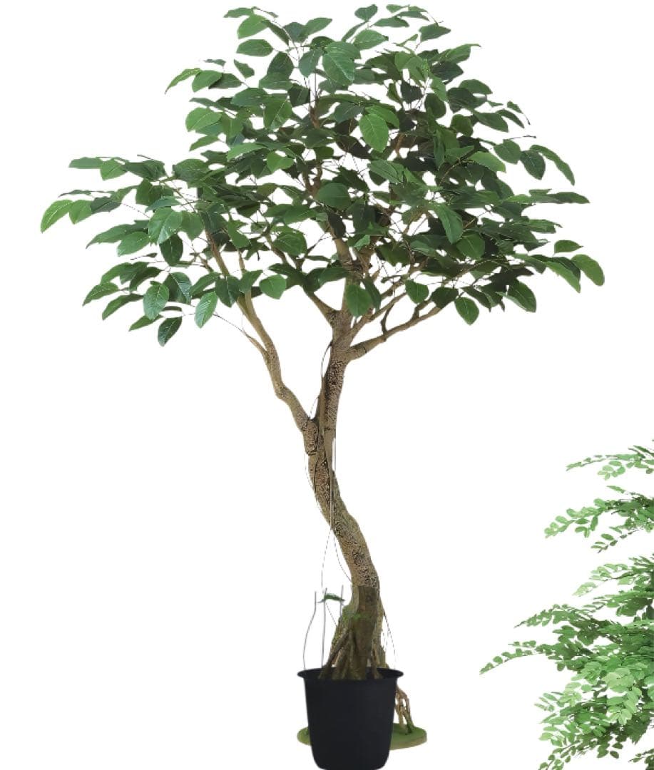 光触媒　人工観葉植物　フェイクグリーン　ベンガルボダイジュコアッド鉢付き