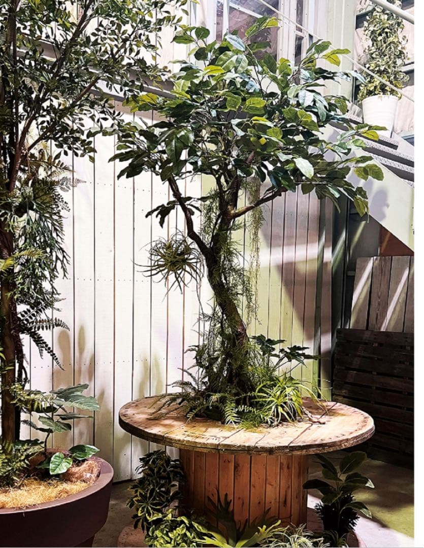 光触媒　人工観葉植物　フェイクグリーン　ベンガルボダイジュコアッド鉢付き