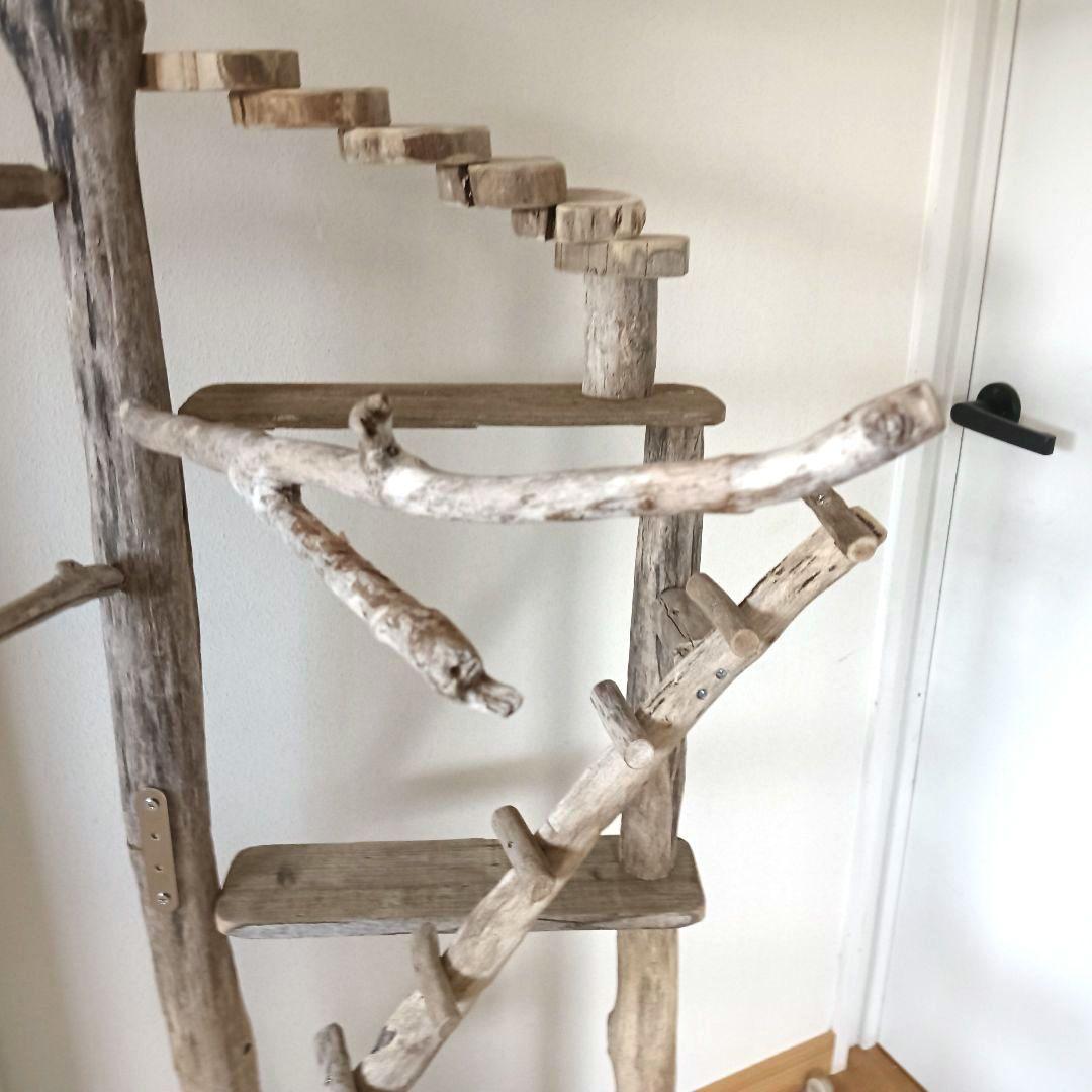 ちょこまふぃん バードアスレチックジム大型 天然木 自然木 流木 インコ