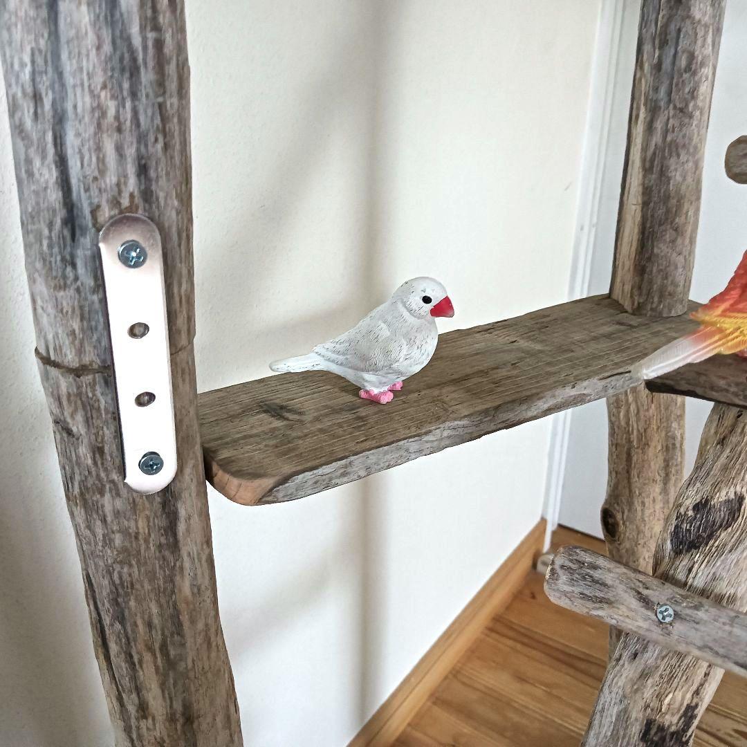 ちょこまふぃん バードアスレチックジム大型 天然木 自然木 流木 インコ