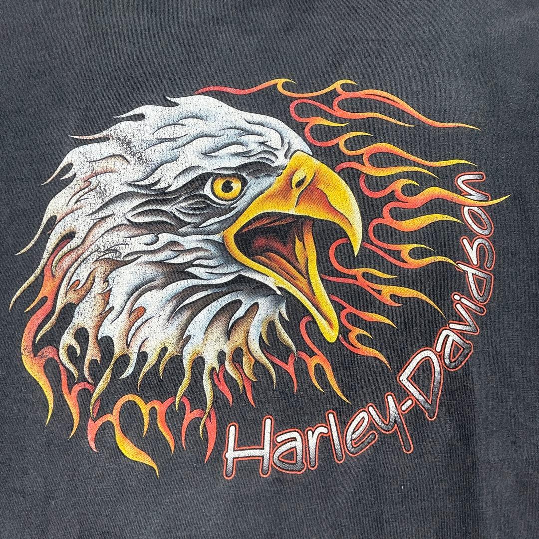 90s Harley-Davidson イーグル ファイヤー ロンＴ L/S