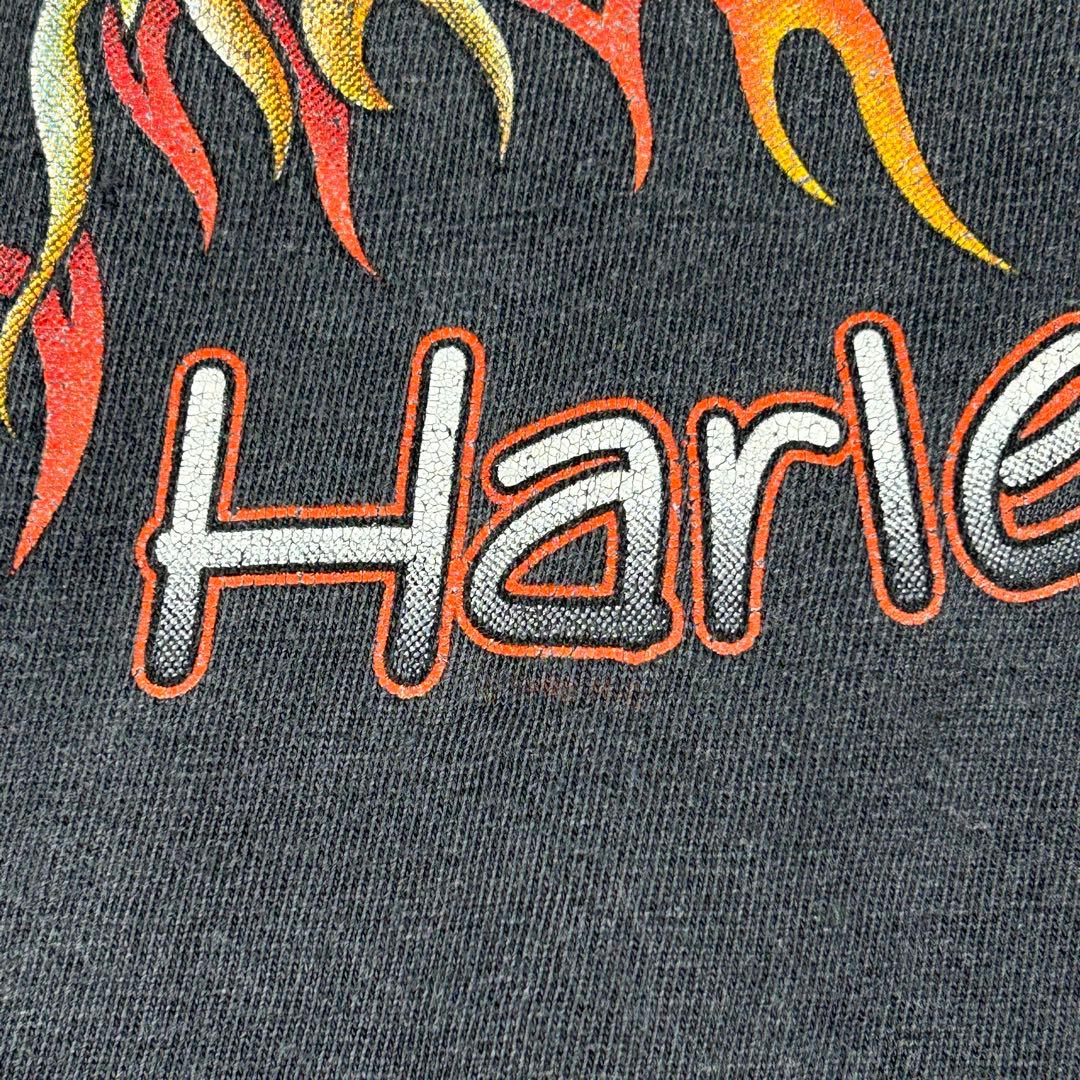 90s Harley-Davidson イーグル ファイヤー ロンＴ L/S