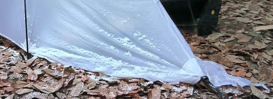 Whisperwind S2 ホワイト