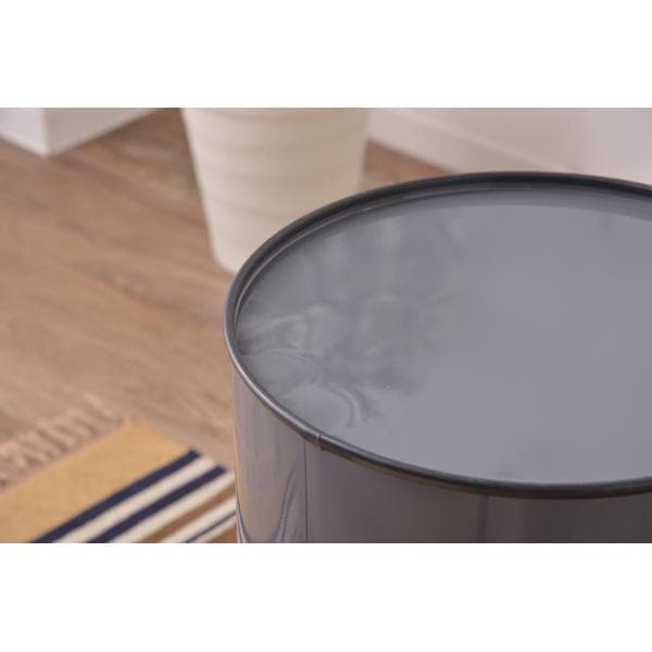 sale！お手入れ簡単 移動かんたん 30リットル 防臭 おしゃれ ゴミ箱 灰